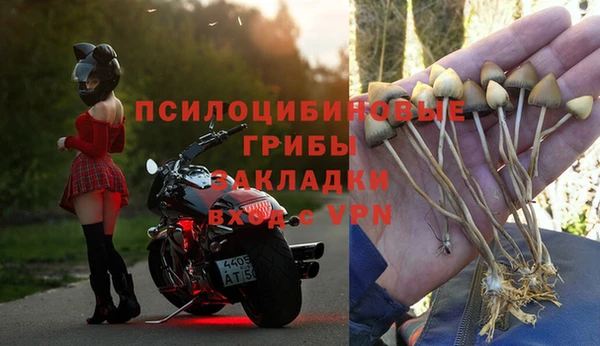 а пвп мука Верхний Тагил